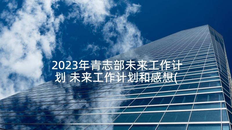 2023年青志部未来工作计划 未来工作计划和感想(汇总5篇)