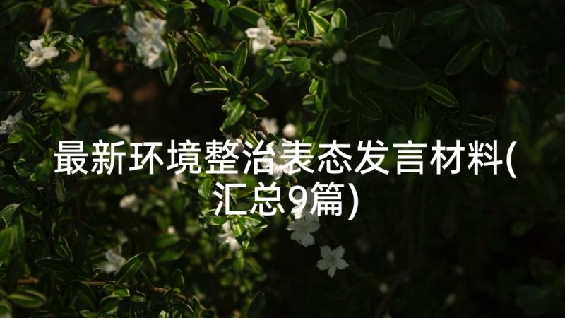 最新环境整治表态发言材料(汇总9篇)