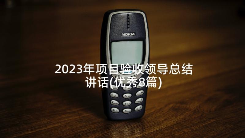 2023年项目验收领导总结讲话(优秀8篇)