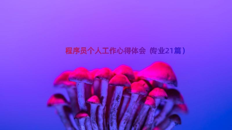 程序员个人工作心得体会（专业21篇）