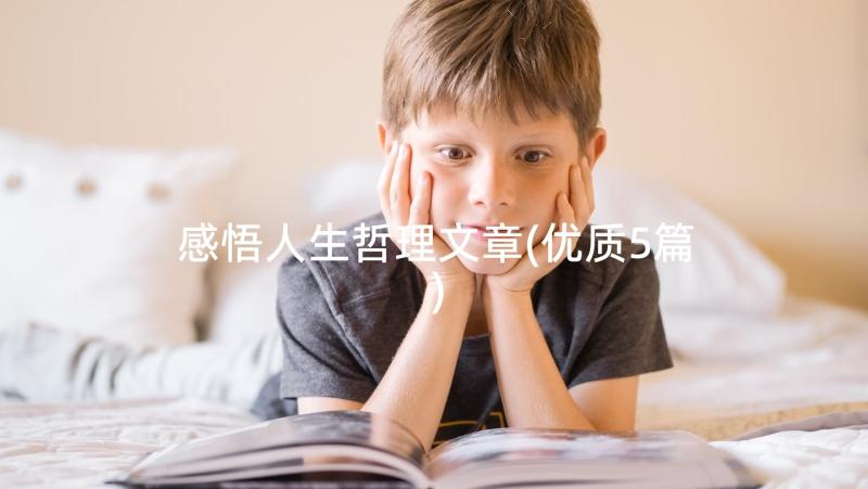 感悟人生哲理文章(优质5篇)