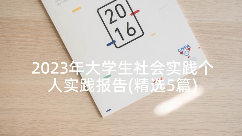 2023年大学生社会实践个人实践报告(精选5篇)