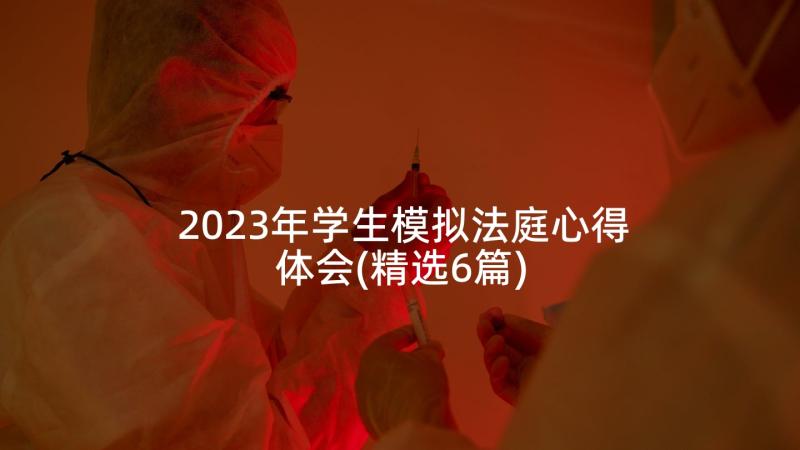 2023年学生模拟法庭心得体会(精选6篇)