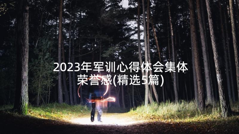 2023年军训心得体会集体荣誉感(精选5篇)