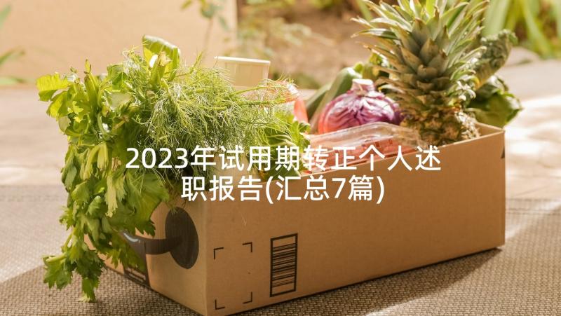 2023年试用期转正个人述职报告(汇总7篇)