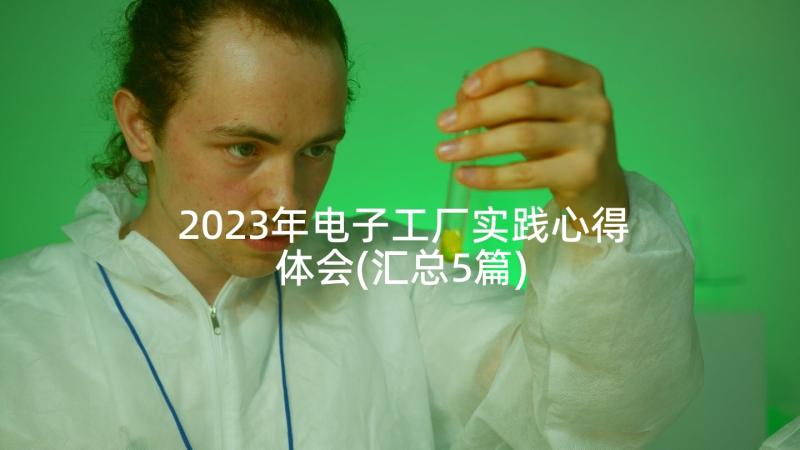 2023年电子工厂实践心得体会(汇总5篇)