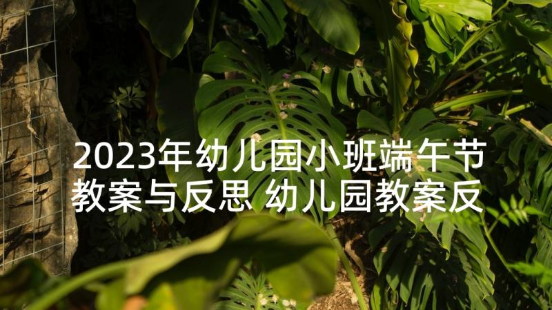 2023年幼儿园小班端午节教案与反思 幼儿园教案反思端午节(优秀9篇)