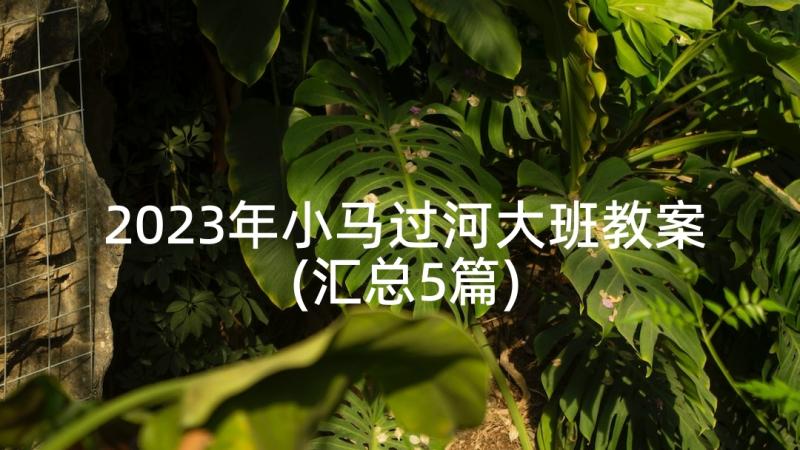 2023年小马过河大班教案(汇总5篇)