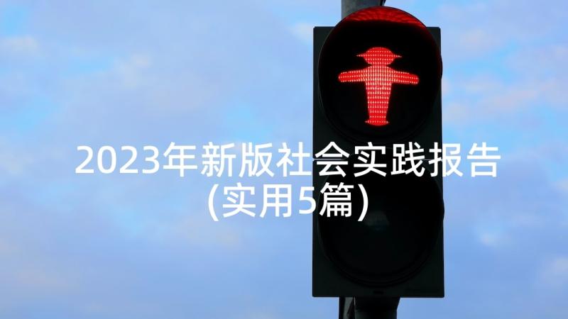 2023年新版社会实践报告(实用5篇)