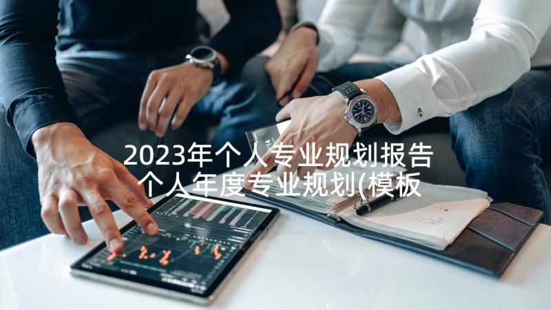 2023年个人专业规划报告 个人年度专业规划(模板5篇)