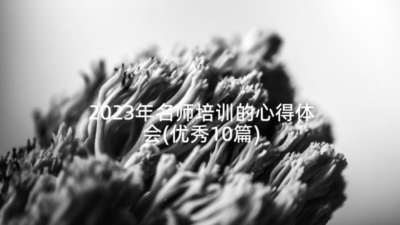 2023年名师培训的心得体会(优秀10篇)