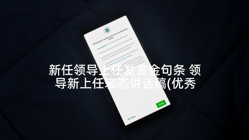 新任领导上任发言金句条 领导新上任表态讲话稿(优秀7篇)