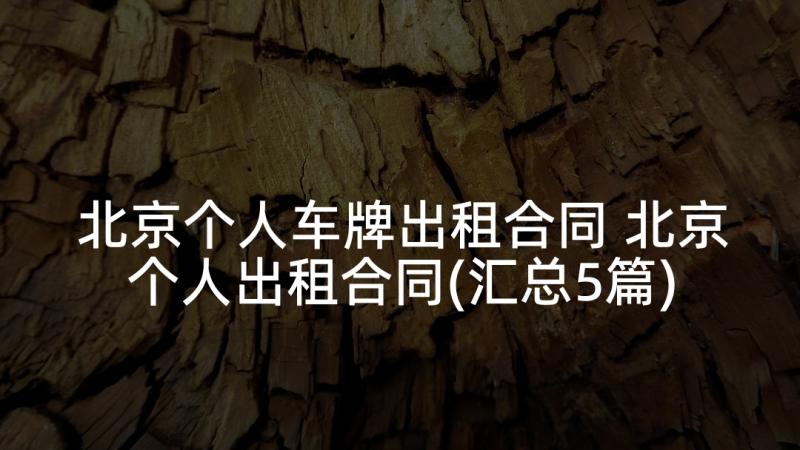 北京个人车牌出租合同 北京个人出租合同(汇总5篇)