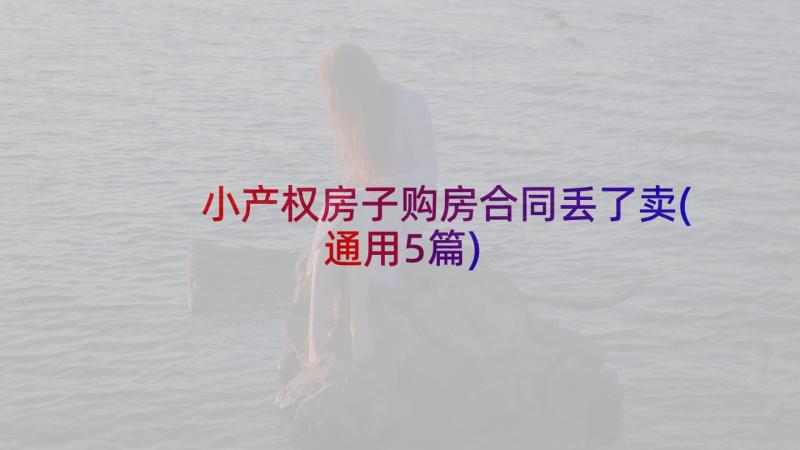 小产权房子购房合同丢了卖(通用5篇)