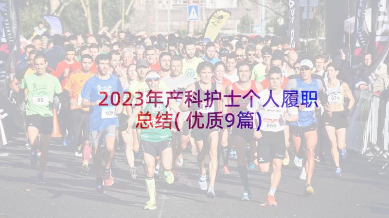 2023年产科护士个人履职总结(优质9篇)