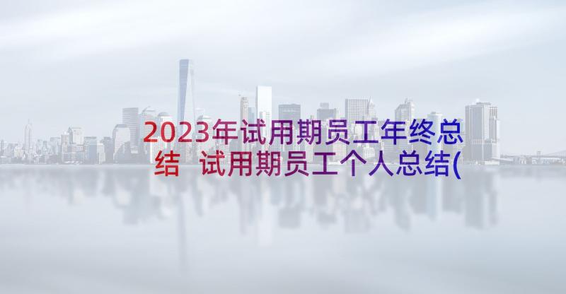 2023年试用期员工年终总结 试用期员工个人总结(优质6篇)