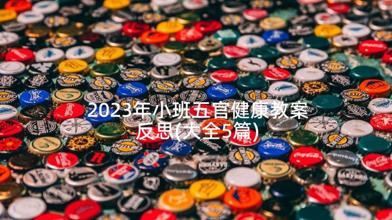 2023年小班五官健康教案反思(大全5篇)