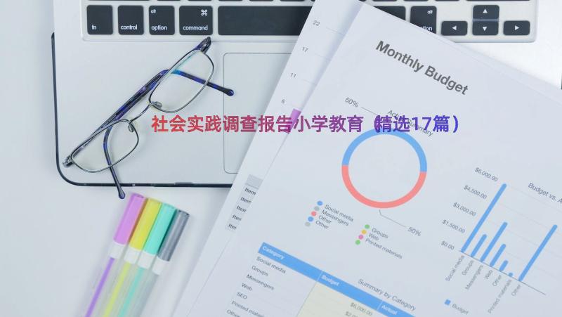 社会实践调查报告小学教育（精选17篇）