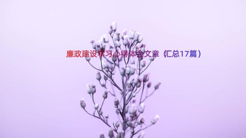 廉政建设学习心得体会文章（汇总17篇）