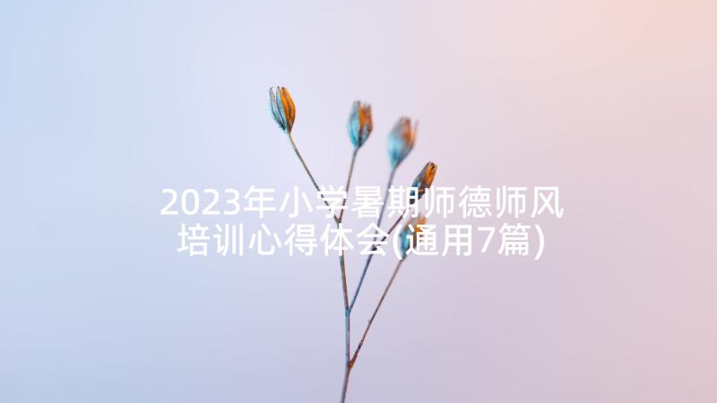 2023年小学暑期师德师风培训心得体会(通用7篇)