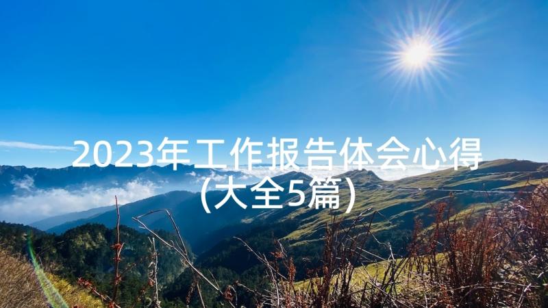 2023年工作报告体会心得(大全5篇)