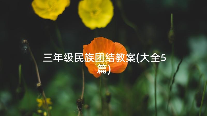 三年级民族团结教案(大全5篇)