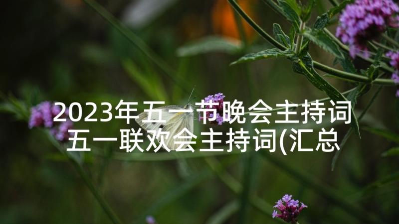 2023年五一节晚会主持词 五一联欢会主持词(汇总9篇)