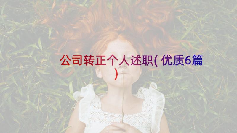 公司转正个人述职(优质6篇)