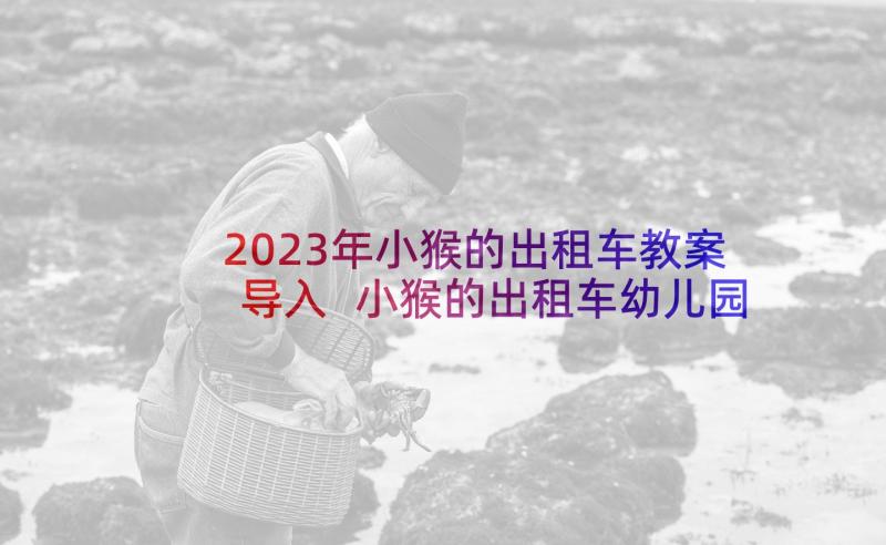 2023年小猴的出租车教案导入 小猴的出租车幼儿园教案(大全5篇)