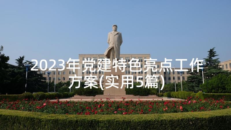 2023年党建特色亮点工作方案(实用5篇)