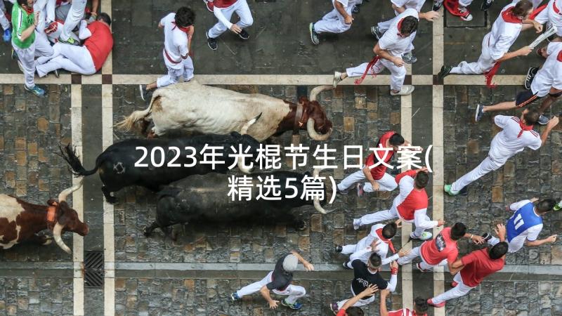 2023年光棍节生日文案(精选5篇)