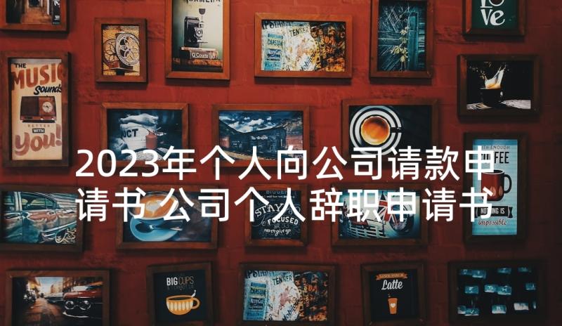 2023年个人向公司请款申请书 公司个人辞职申请书(汇总7篇)