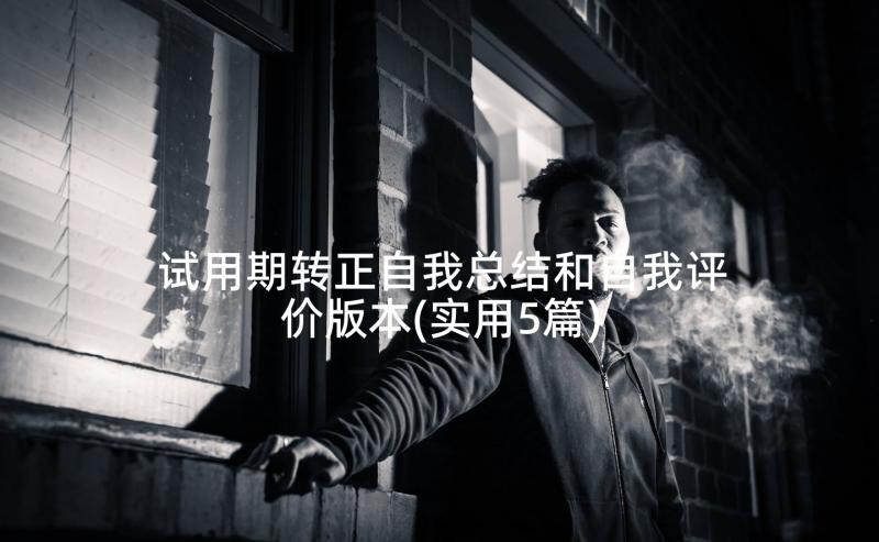 试用期转正自我总结和自我评价版本(实用5篇)