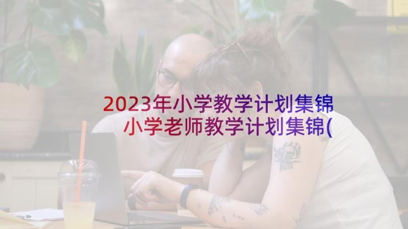 2023年小学教学计划集锦 小学老师教学计划集锦(模板8篇)