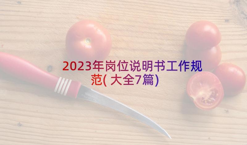 2023年岗位说明书工作规范(大全7篇)