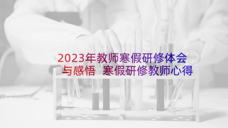 2023年教师寒假研修体会与感悟 寒假研修教师心得体会(优质8篇)