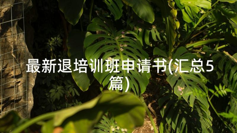 最新退培训班申请书(汇总5篇)