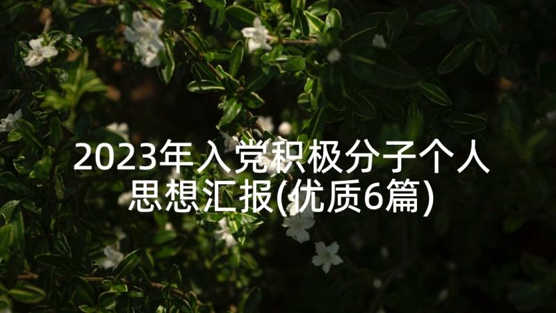 2023年入党积极分子个人思想汇报(优质6篇)