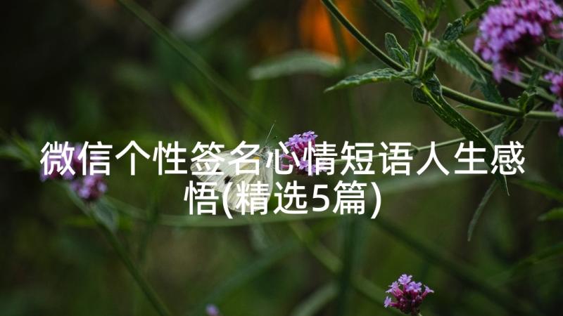 微信个性签名心情短语人生感悟(精选5篇)