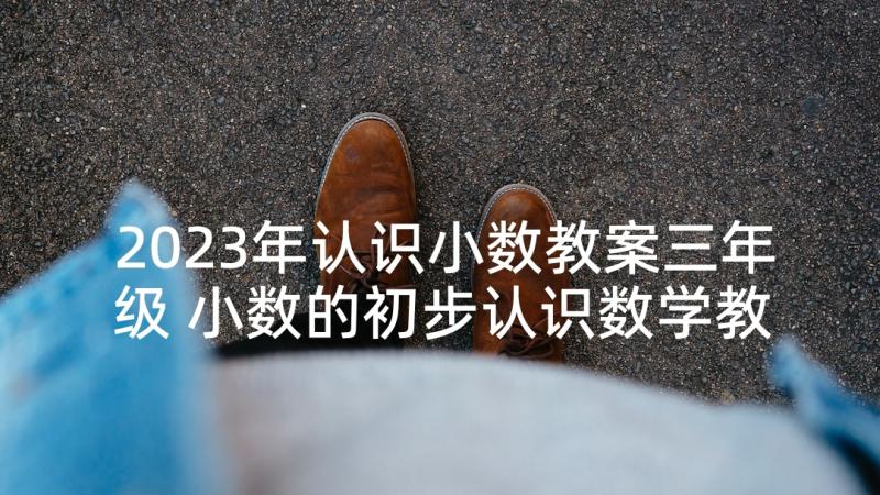 2023年认识小数教案三年级 小数的初步认识数学教案(通用5篇)