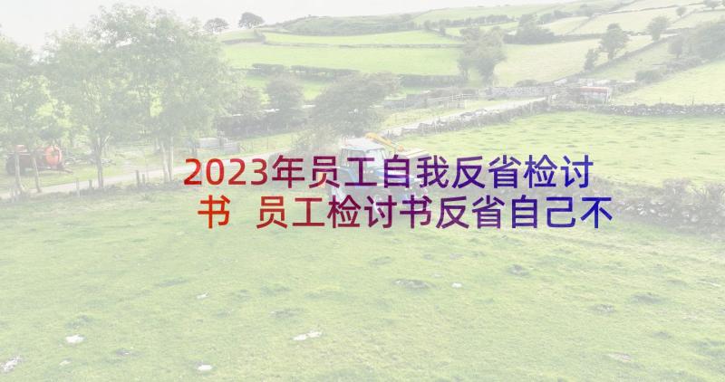 2023年员工自我反省检讨书 员工检讨书反省自己不遵守规定(模板5篇)