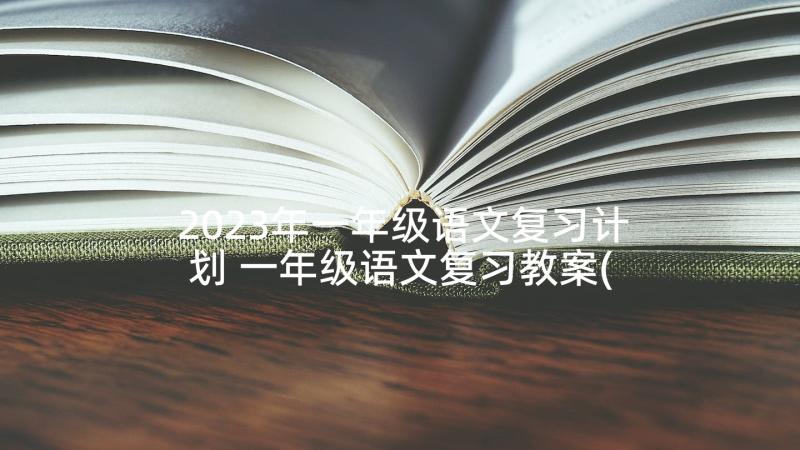 2023年一年级语文复习计划 一年级语文复习教案(精选8篇)