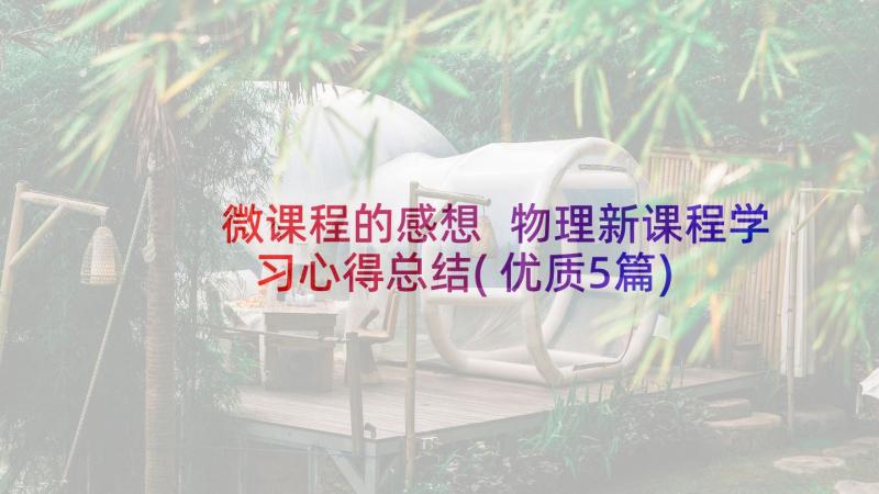 微课程的感想 物理新课程学习心得总结(优质5篇)