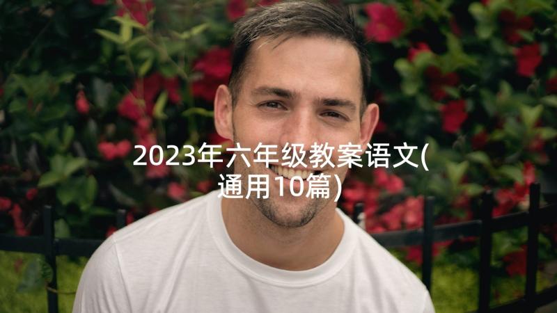 2023年六年级教案语文(通用10篇)