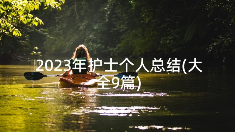 2023年护士个人总结(大全9篇)