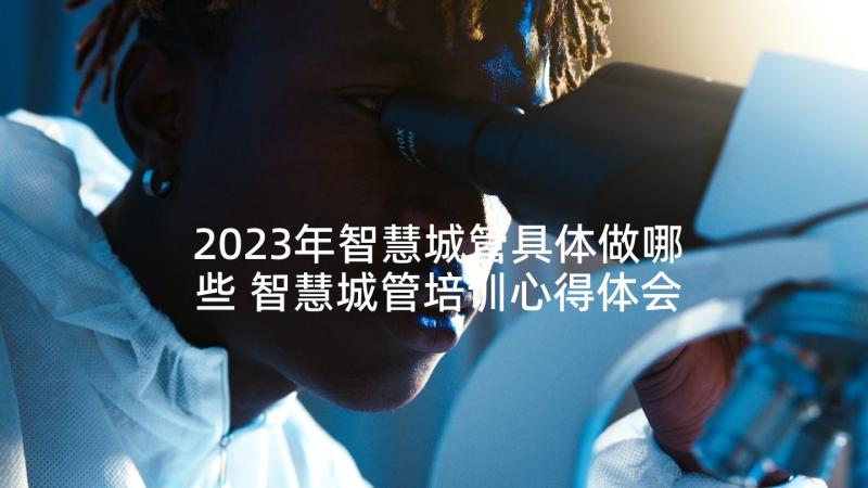 2023年智慧城管具体做哪些 智慧城管培训心得体会(大全5篇)