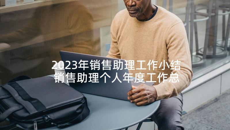 2023年销售助理工作小结 销售助理个人年度工作总结(优质10篇)