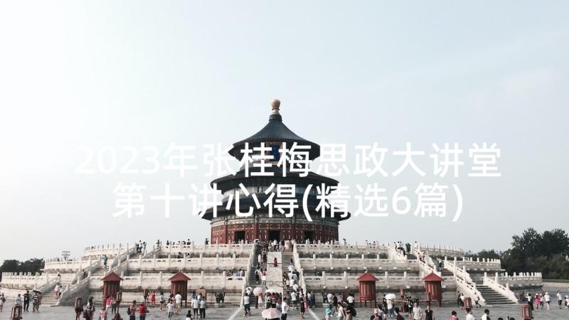 2023年张桂梅思政大讲堂第十讲心得(精选6篇)