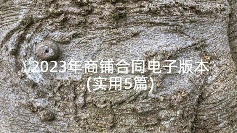 2023年商铺合同电子版本(实用5篇)