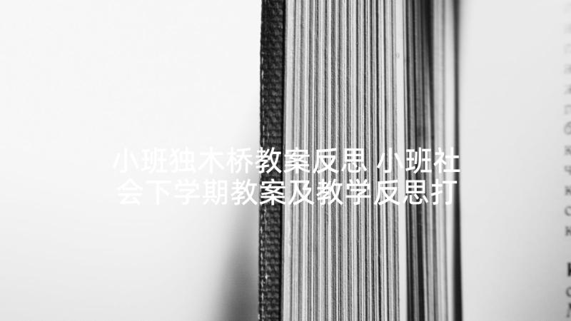 小班独木桥教案反思 小班社会下学期教案及教学反思打扮妈妈(优质5篇)